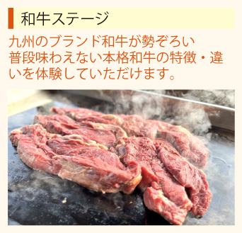 ブランドステージ３